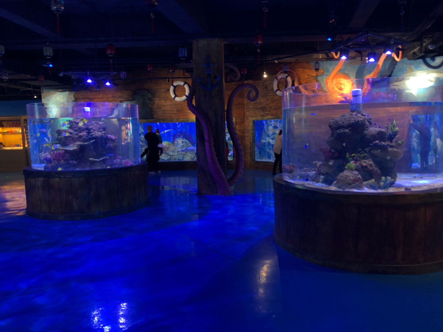 إدخال نظام دعم حياة خزان الأسماك الأكريليك